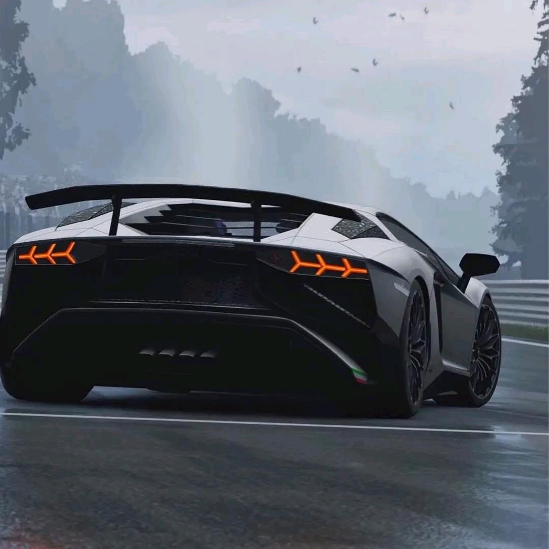 人见人爱花见花开车见车爆胎的猪猪侠🕊