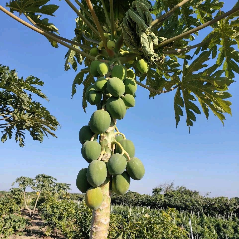 一切随缘🙏🙏