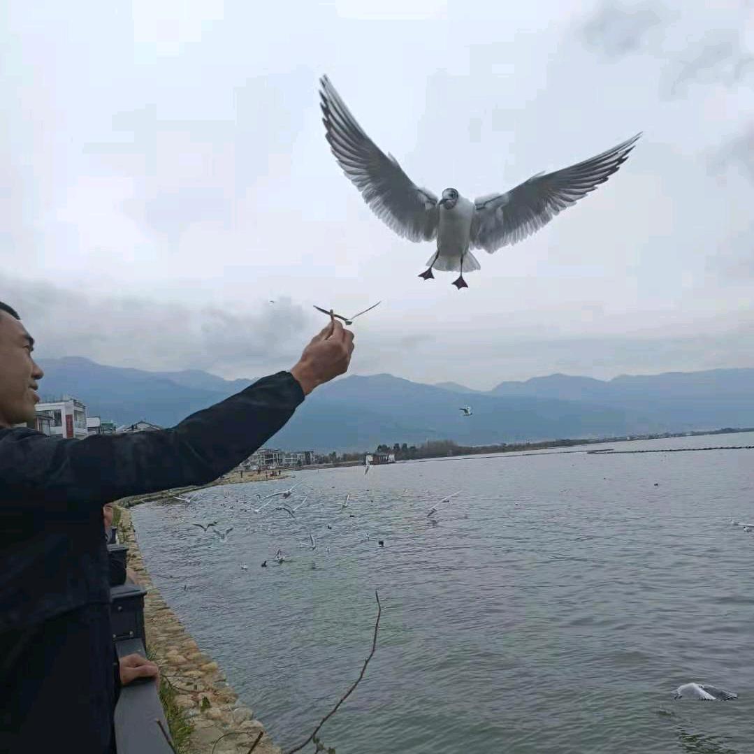 老涛