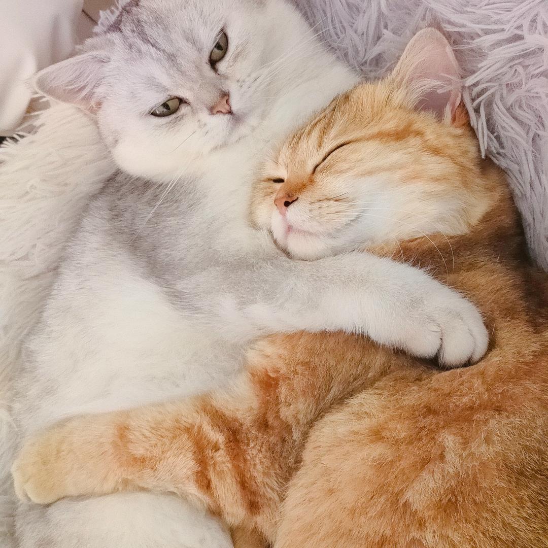 重生之这一世我将减肥回到巅峰