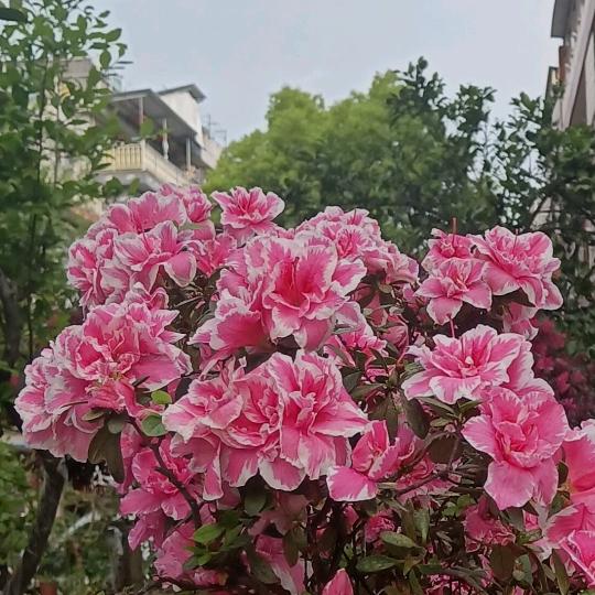 天天快乐哈