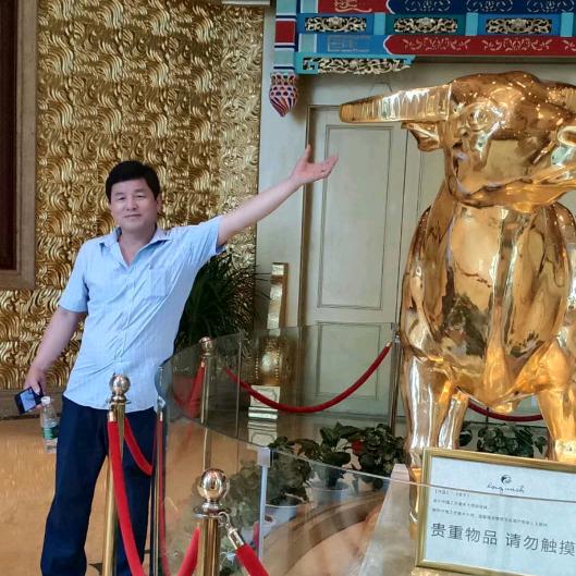 张金海