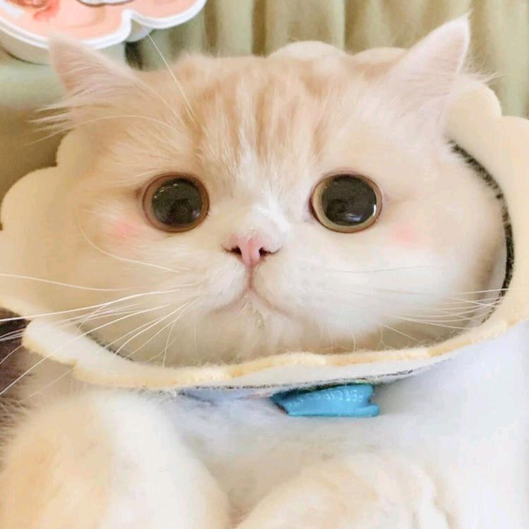 茫๓.
