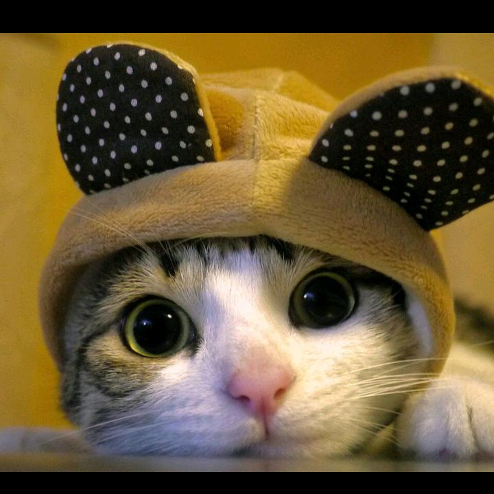 囚笼☞记录生活☜