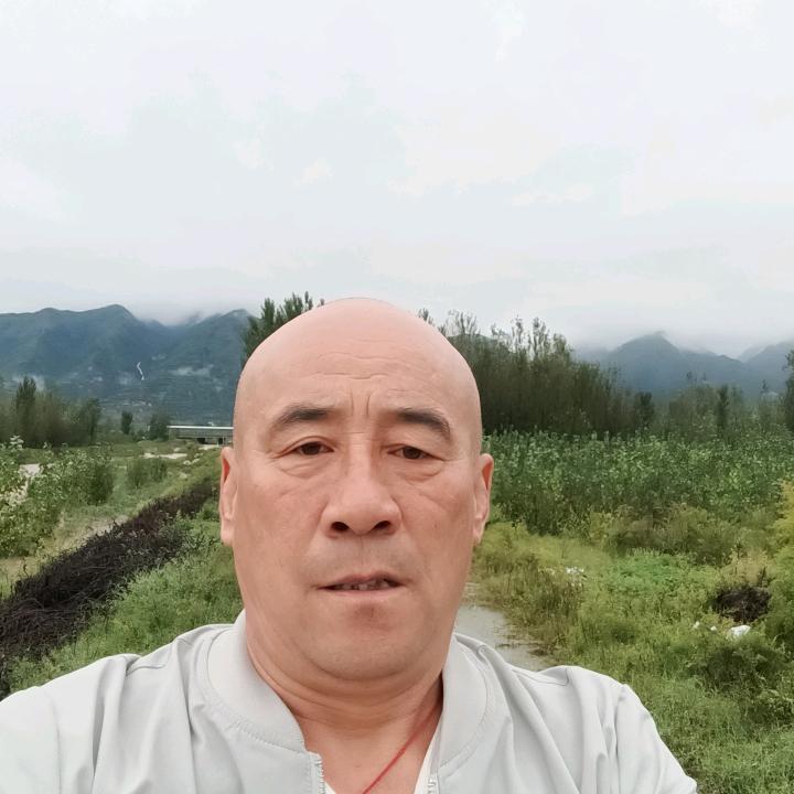 粮食搬运工长年大量收购小麦干湿玉米