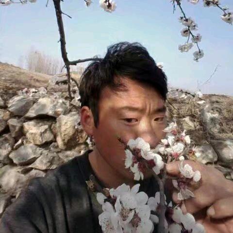 姚成