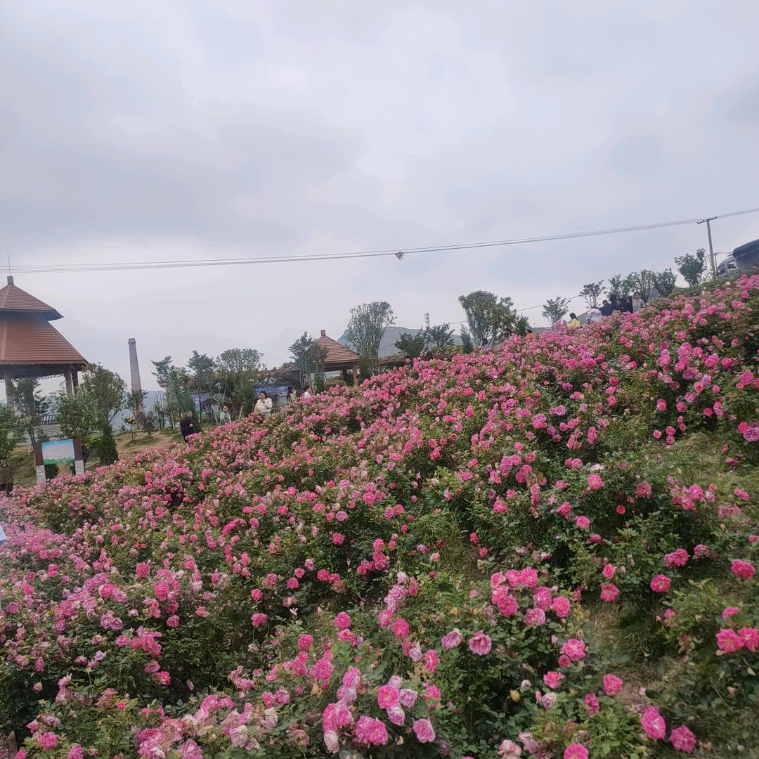 以后的以后