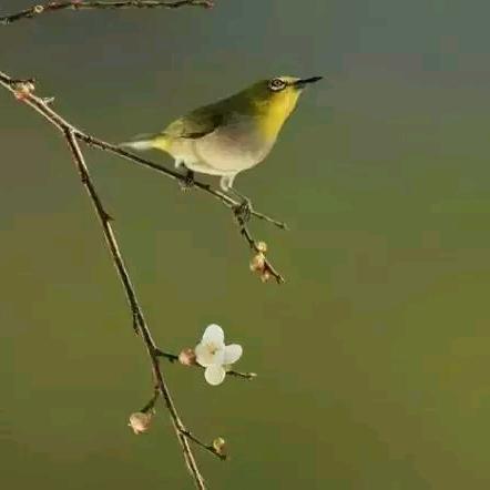 仁人