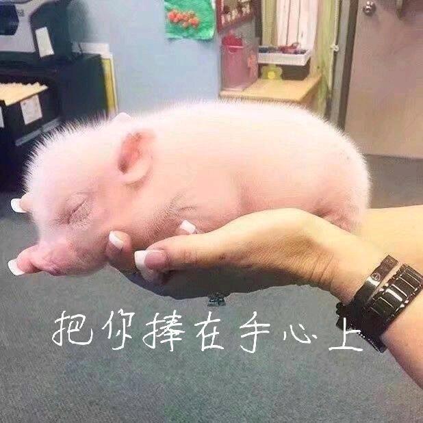 七七平平安安