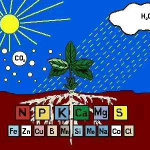 植保医生