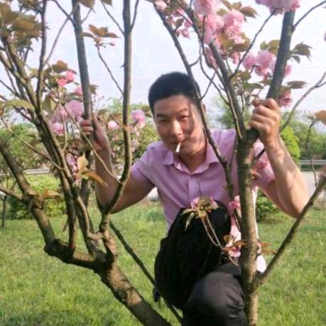 今生陪你一起走