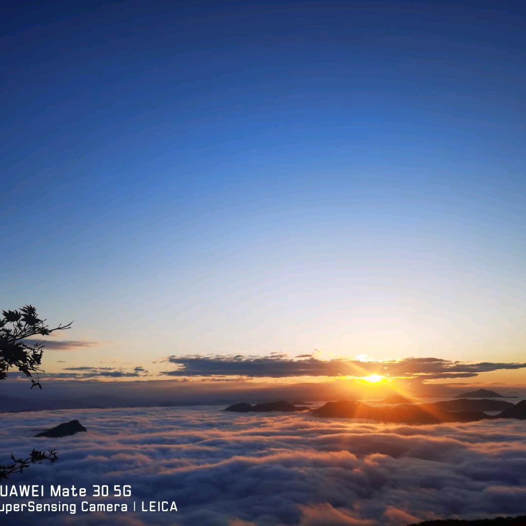 大牛沟云海林林农家院