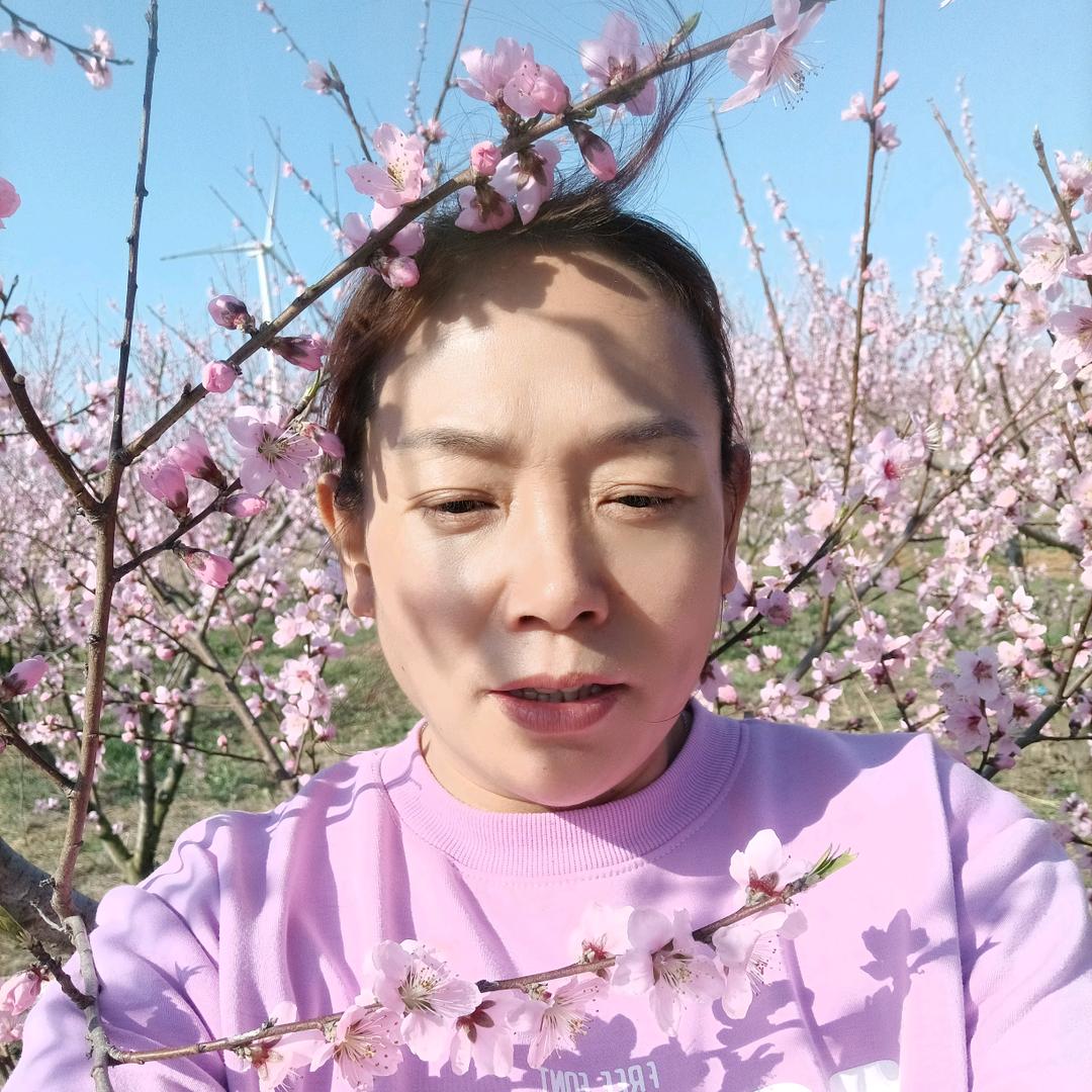 像玫瑰🌹