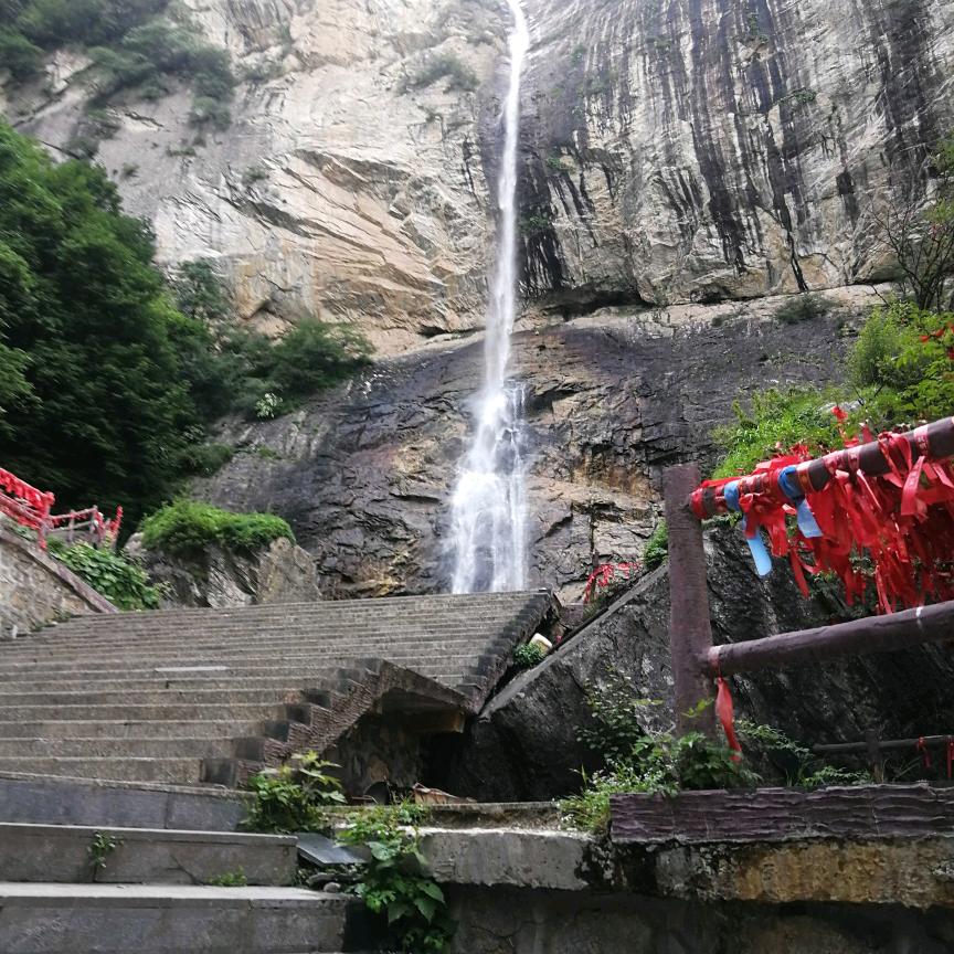 丛新.在来