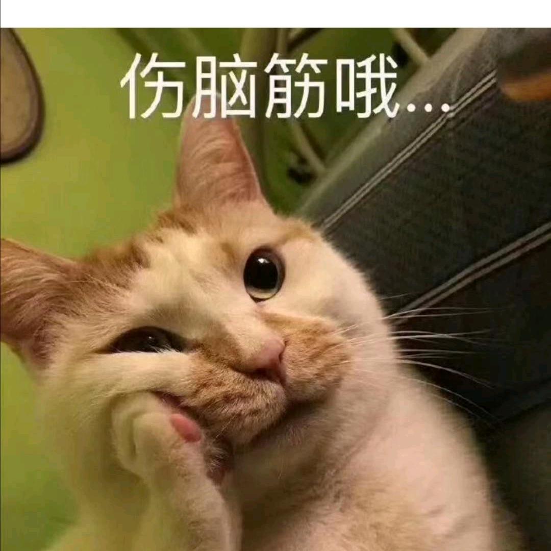 贾庆付