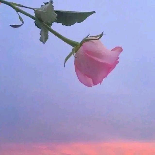 烟花三月