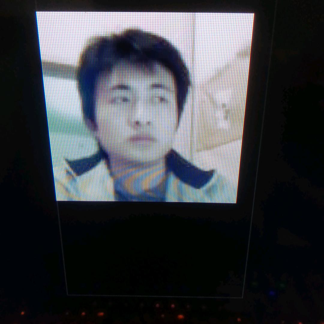 毅毅