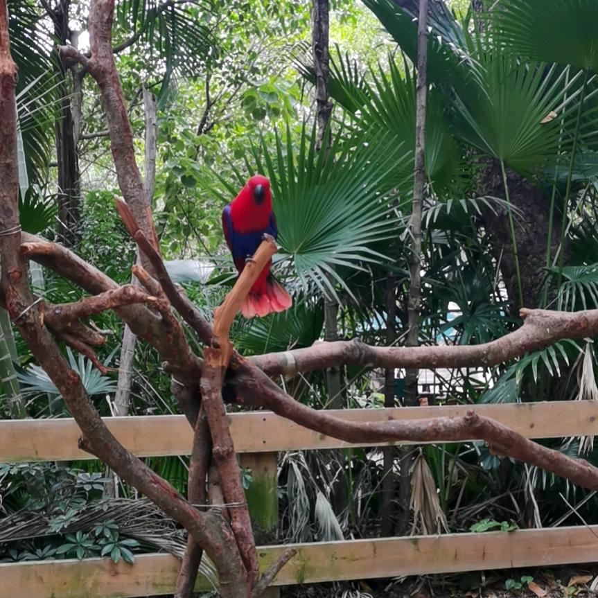 明天会更好😘……