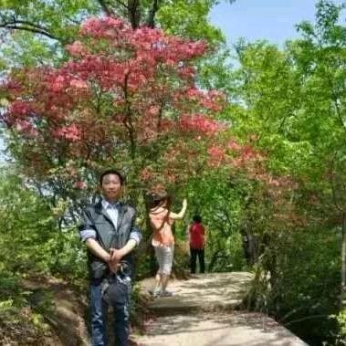 雁之南