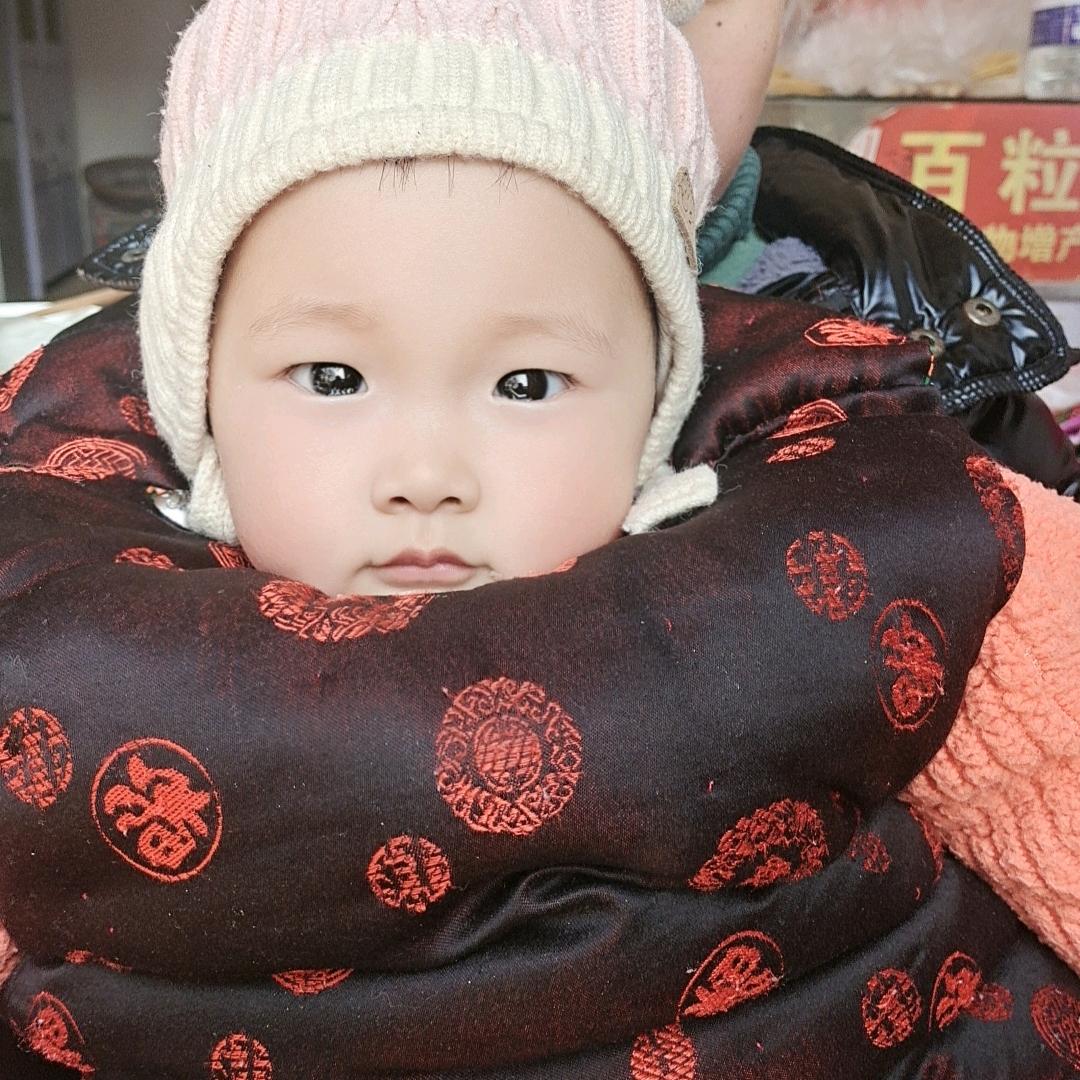 杨楼裕丰303玉米种专卖店！胡攀