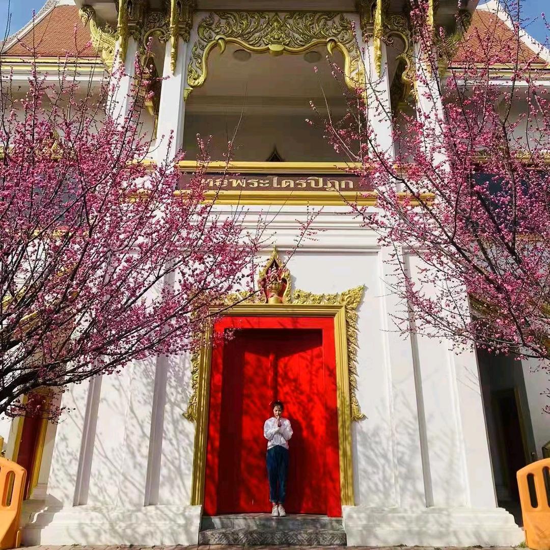 鹤壁旅游找乐乐