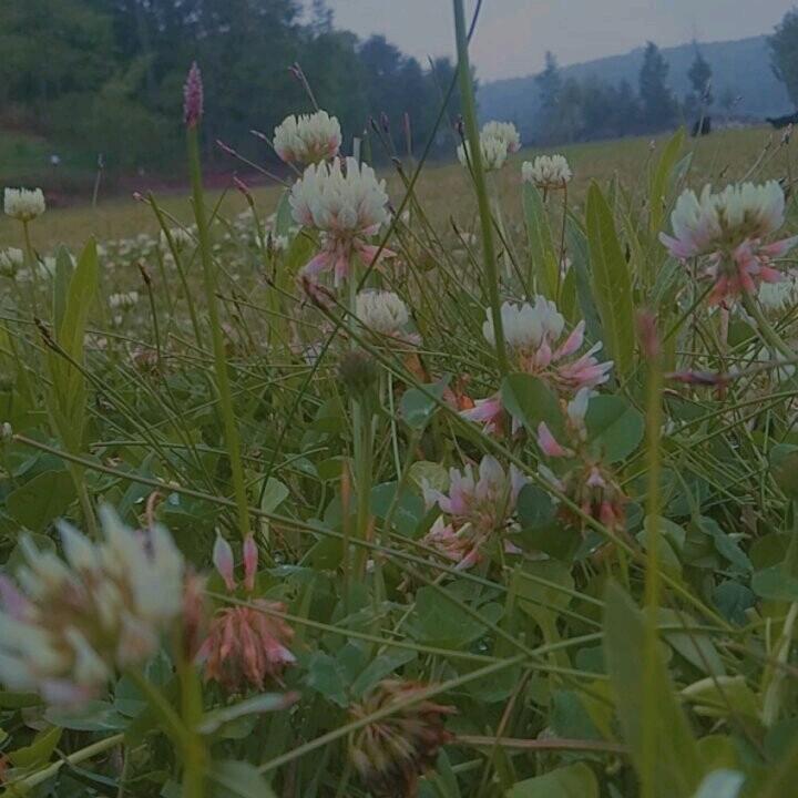 故事💔