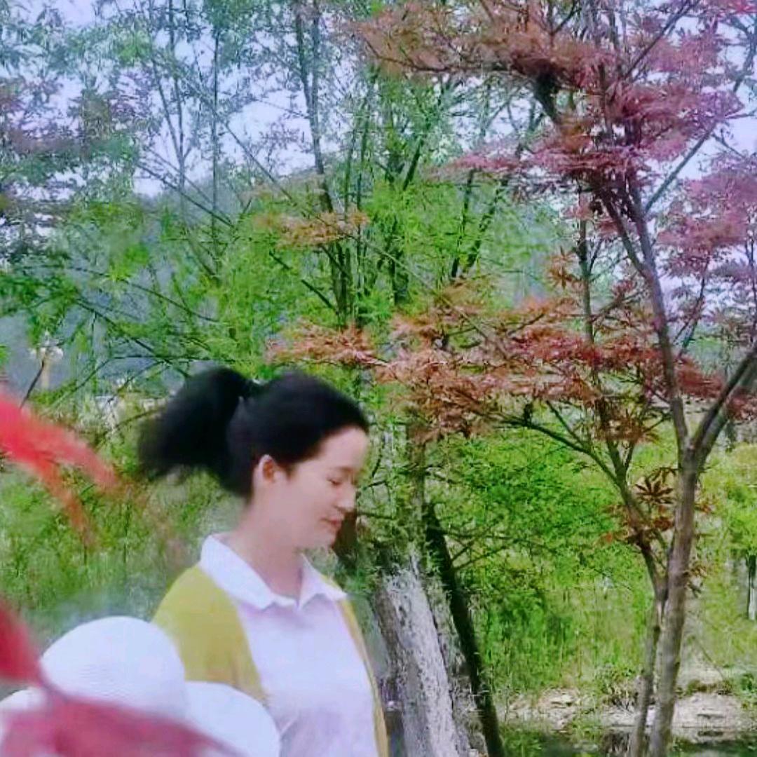 清风霁月