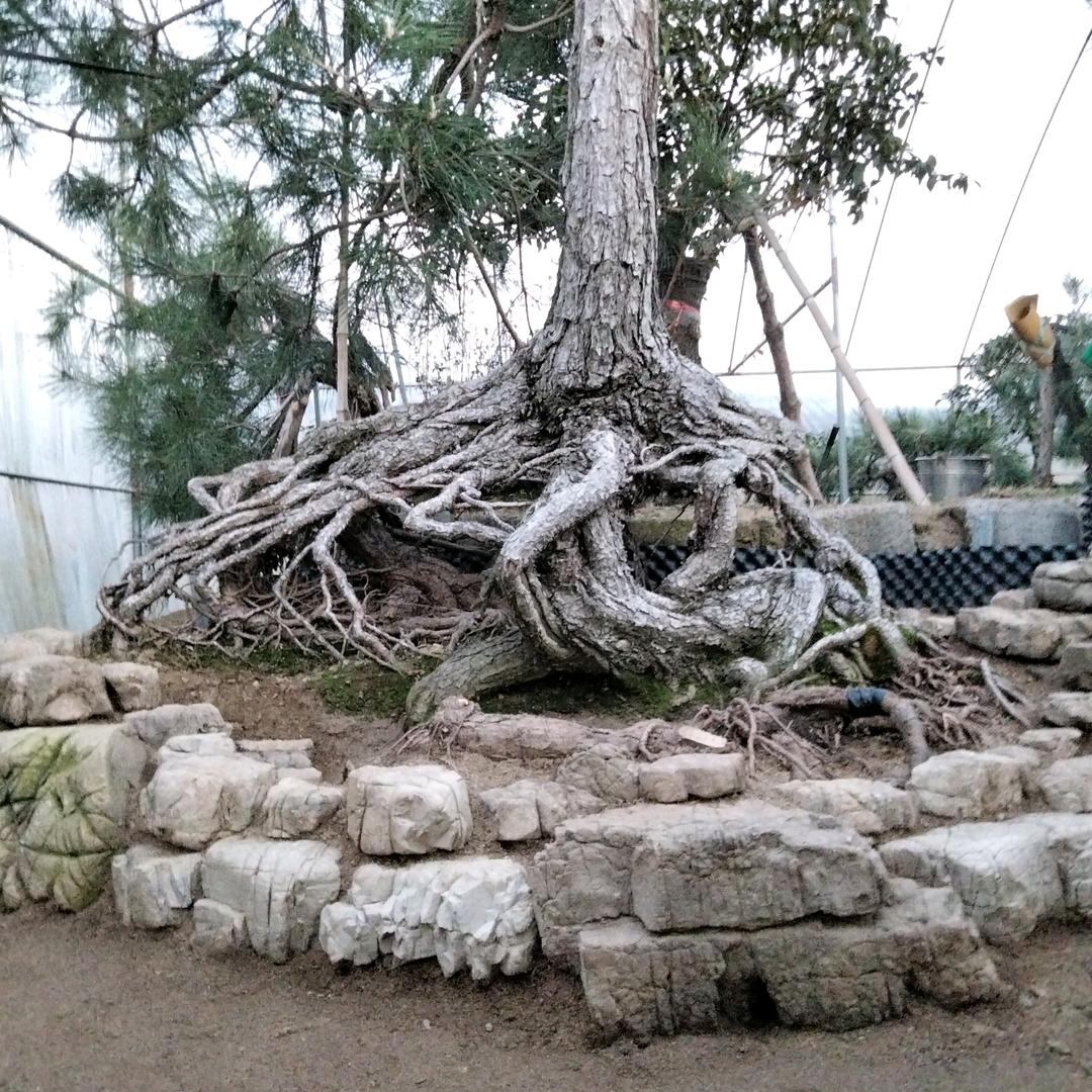 李家花园李爱训