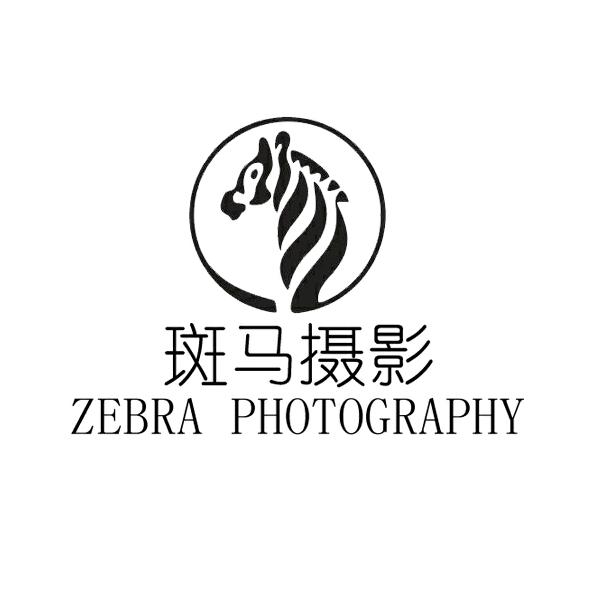 肥城斑马摄影
