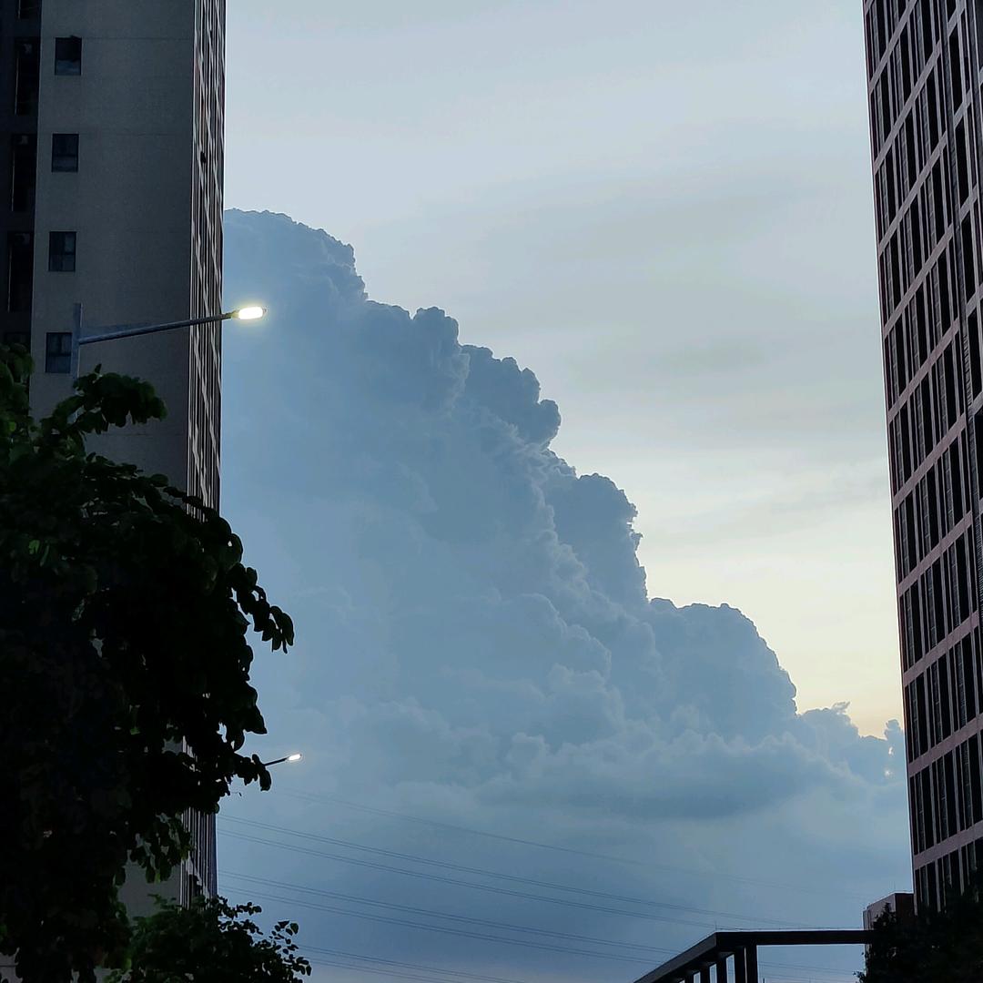 鼠鼠来了