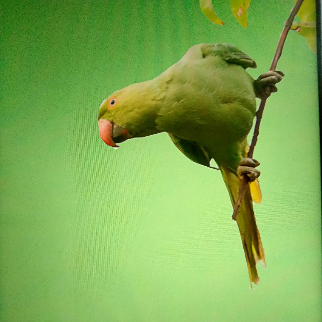 Mr小戴