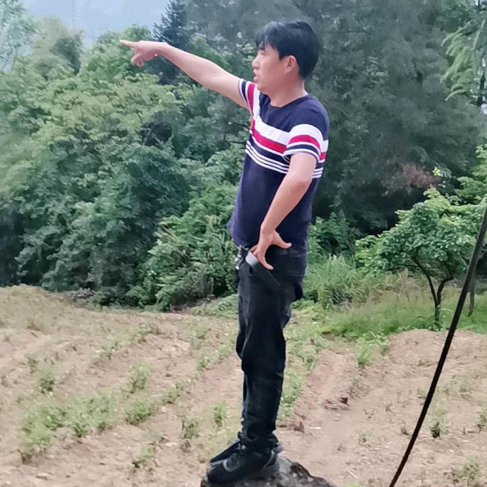 茶叶哥