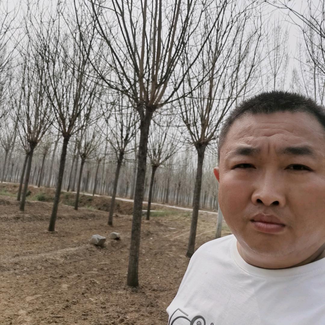 山东卓鸿园林绿化有限公司