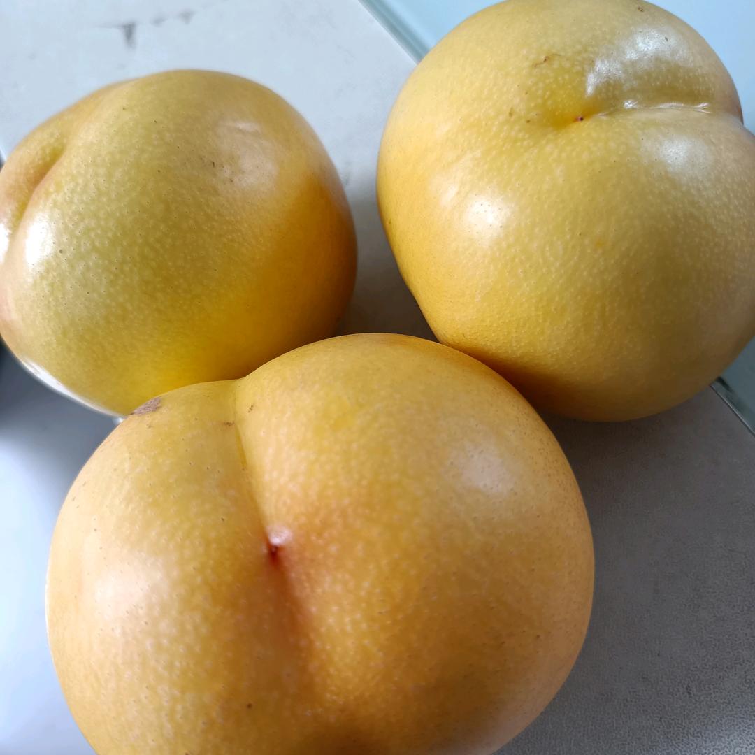 昌乐县明生农场