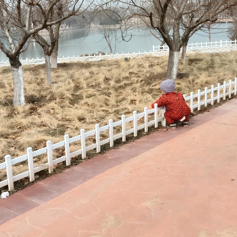 木子