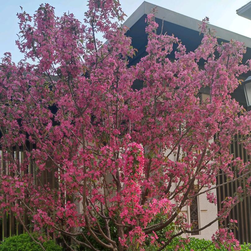 德州靓号于大人