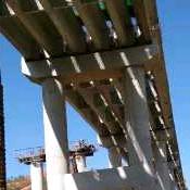 开心就好，应小金