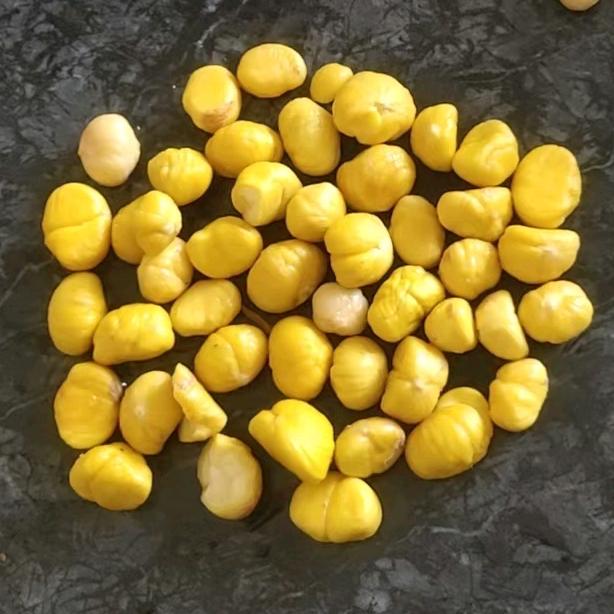 陕西金栗-中药材合作社