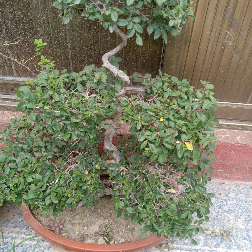 总有一个适合你