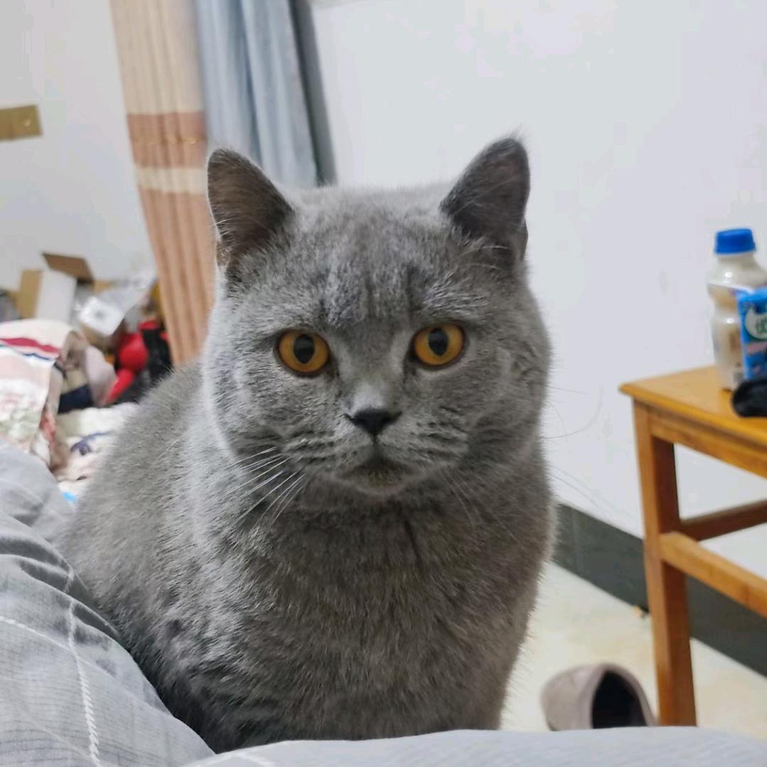 XJ小后生