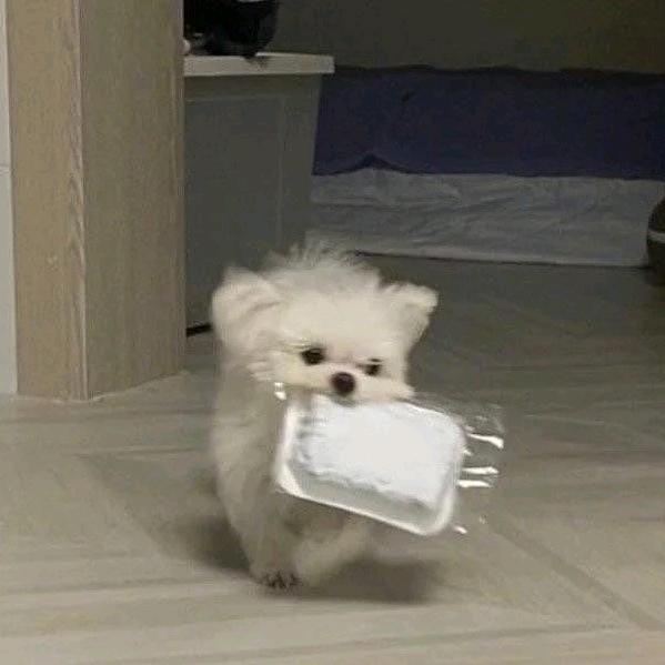 小耗子精