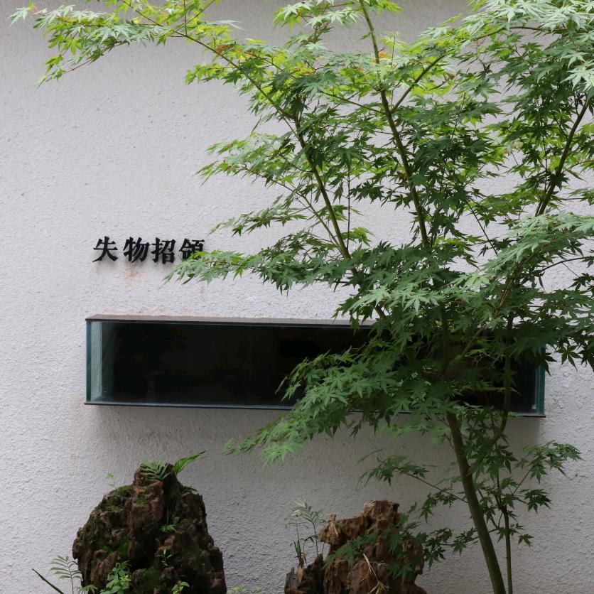 缘分天空81818