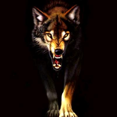 别恨钱_它让我知拼搏