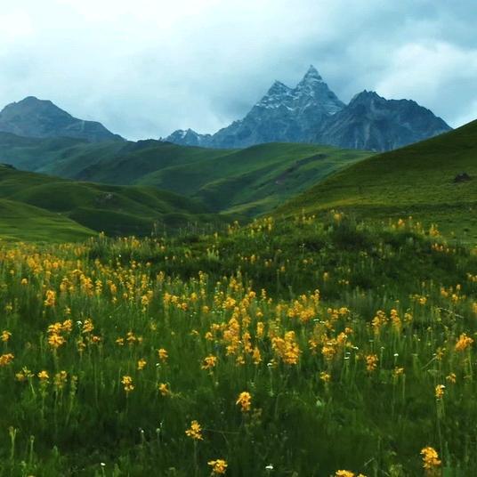 星星⭐️在我心