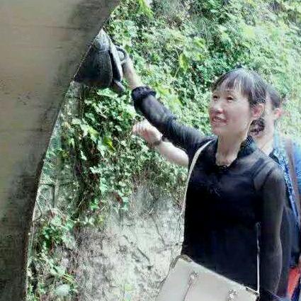 天天自媒体