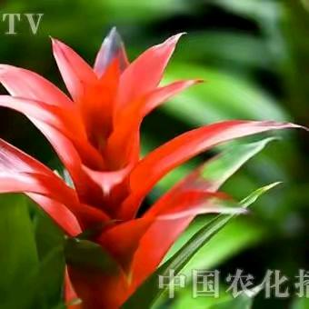 负我不负她