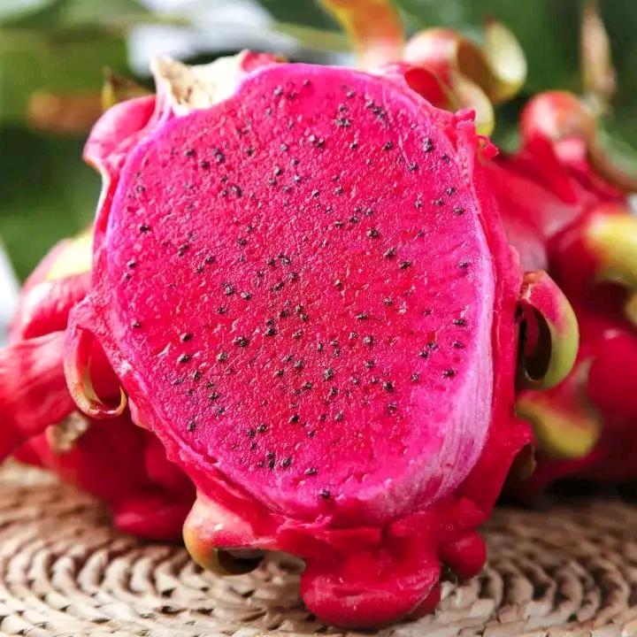 甘肃玉门晓琳果园