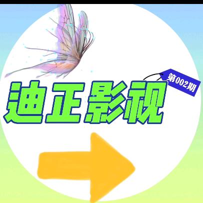 迪正影视