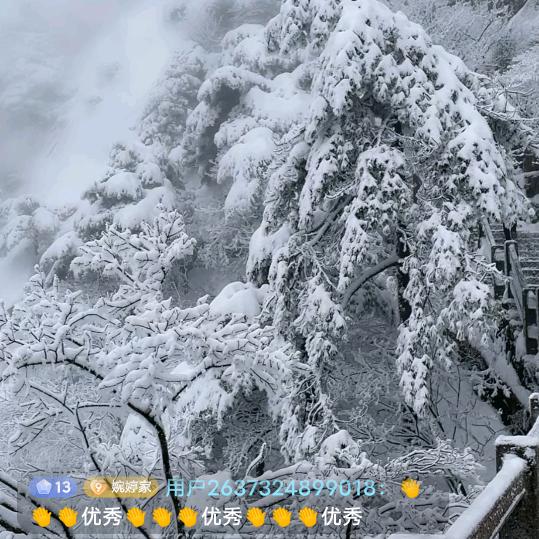 登登结彩
