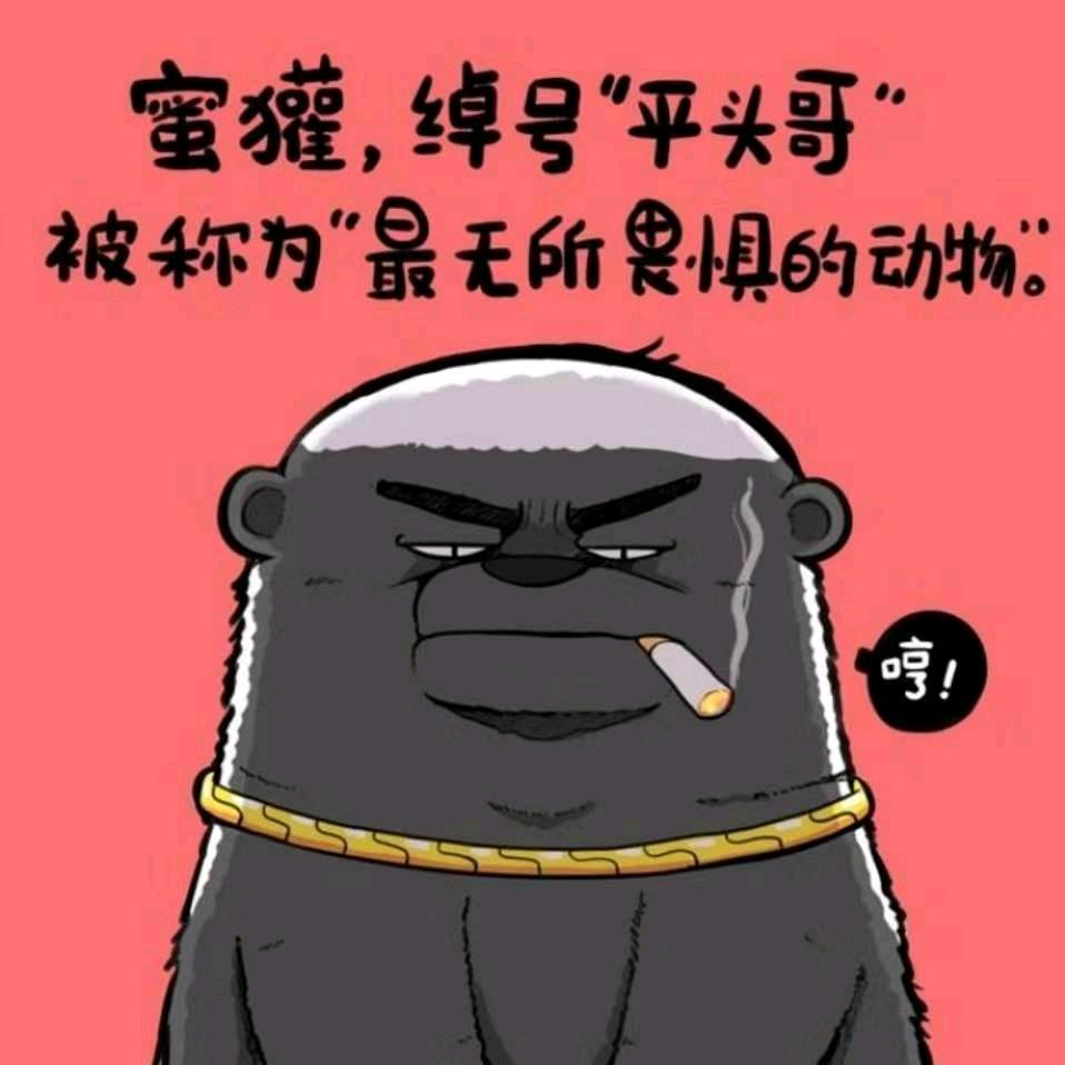 艳阳团队 （阳光玫瑰 )豫南小哥